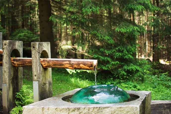 Galerie: Poznejte kraj lesů aneb I to je Šumava Galerie: Poznejte kraj lesů aneb I to je Šumava