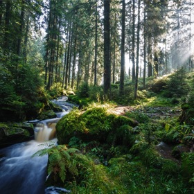 Galerie: Poznejte kraj lesů aneb I to je Šumava