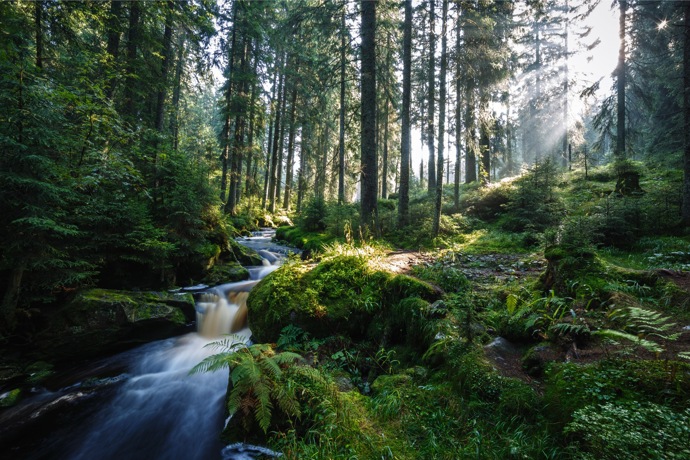 Galerie: Poznejte kraj lesů aneb I to je Šumava Galerie: Poznejte kraj lesů aneb I to je Šumava