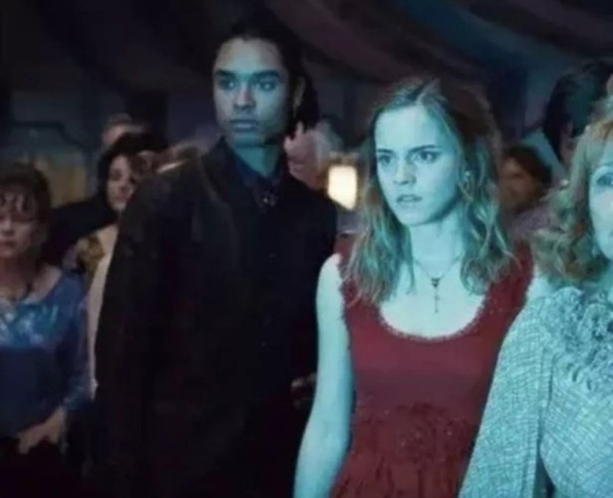 Regé-Jean Page v první části posledního dílu – Harry Potter a relikvie smrti – na svatbě Billa a Fleur
