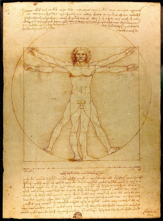 Da Vinciho dílo: Proporce lidské postavy (Vitruvius)
