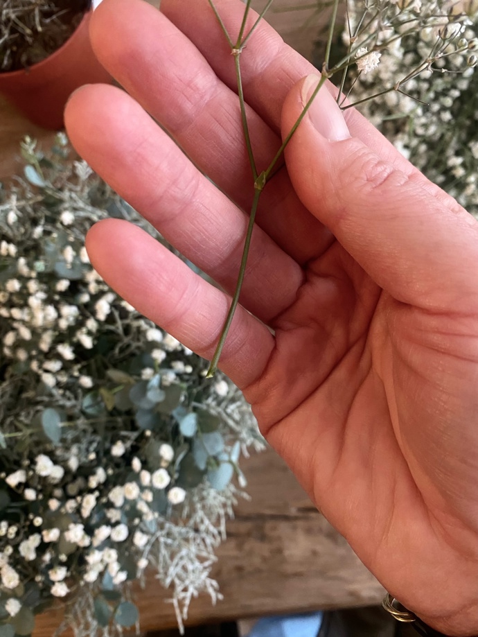 Doporučujeme si spodní část větviček (alespoň 1,5 cm) očistit, pak se vám budou lépe zapichovat.
Doporučujeme si spodní část větviček (alespoň 1,5 cm) očistit, pak se vám budou lépe zapichovat.