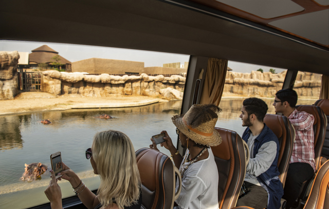 safari journey