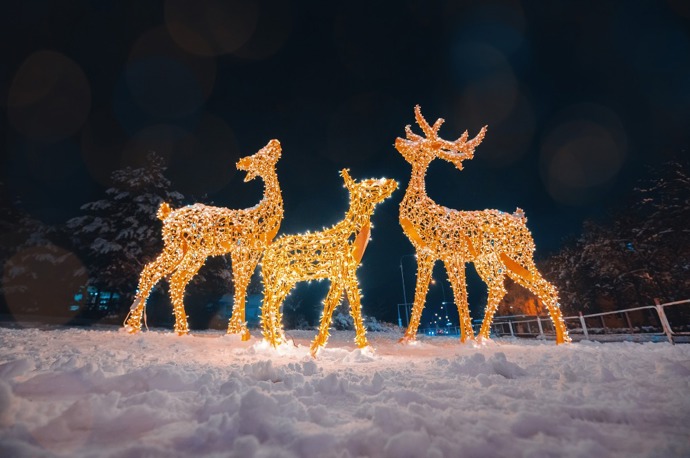 Galerie: Světýlka, která nastartují advent Galerie: Světýlka, která nastartují advent