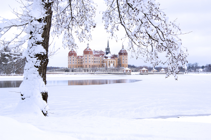 Zasněžený zámek Moritzburg
Zasněžený zámek Moritzburg