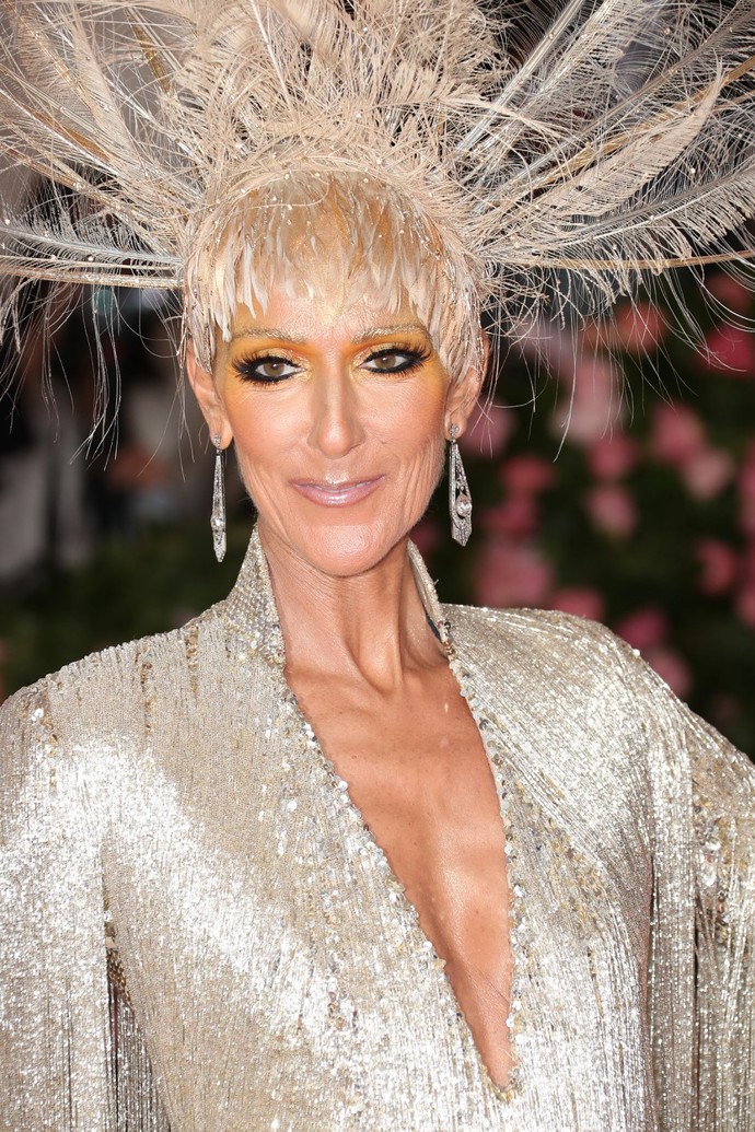 Céline Dion se touží vrátit zpět na hudební scénu
Céline Dion se touží vrátit zpět na hudební scénu