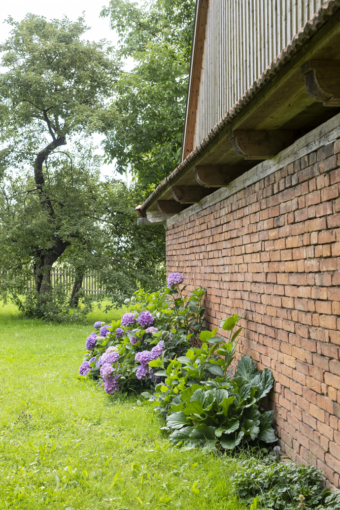 Původní statek se nachází na okraji menší vesnice u Litomyšle. Renovace se dotkla všech částí pozemku, nejvýraznější proměnou ale prošel dvůr, který je ze tří stran lemovaný budovami a z poslední se otevírá do sadu s původními i novými stromy.  Novou dominantou se stal přírodní biotop, který svou délkou uspokojí nejednoho plavce. 
