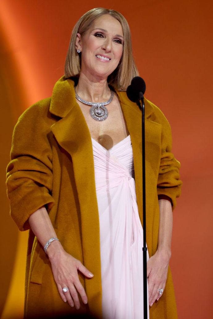 Překvapením večera se stala Céline Dion, která přišla vyhlásit kategorii Album roku, a tudíž předávala cenu Taylor Swift. Oblékla světle růžové šaty, přes ně oversized kabát v odstínu hnědé a outfit doplnila šperky Tiffany & Co.
