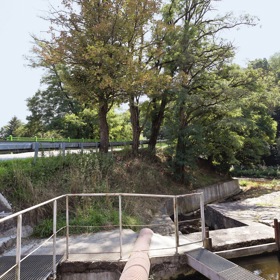 Galerie: Svojšín, obec, která ožila