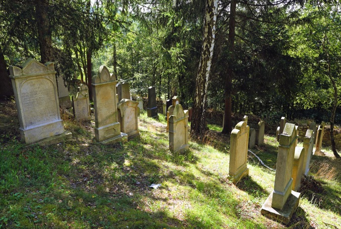 Galerie: Svojšín, obec, která ožila