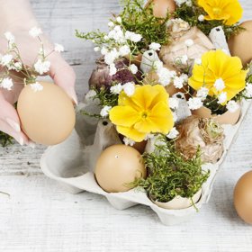 Základem této dekorace je plato na vajíčka. Do vyfouknutých vajíček pak vložte čerstvé či umělé květy. Je to jednoduché a efektní!
