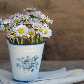 Stará keramika a porcelán poslouží na květiny.
