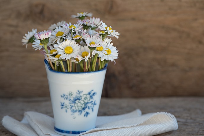 Stará keramika a porcelán poslouží na květiny.
