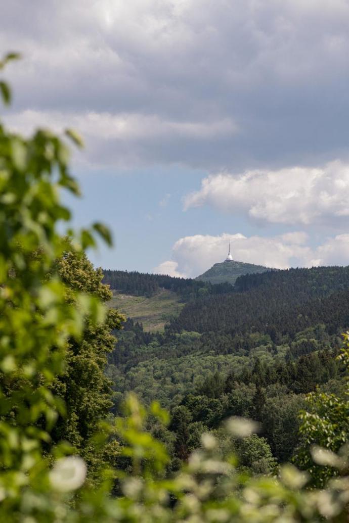 Že se Tereza s Michalem nebojí výzev a poslouchají své srdce, jste se mohli přesvědčit před třemi roky, kdy nás pozvali do své tehdy vánočně vyzdobené chalupy v Kryštofově Údolí, kde trvale žijí.
