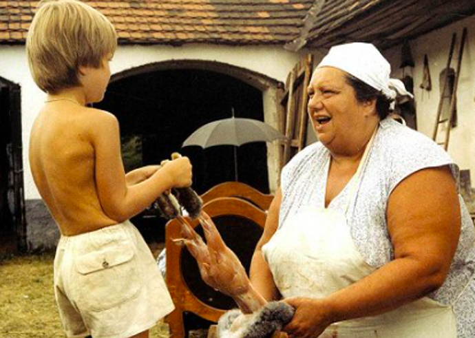 Helena Růžičková v trilogii Slunce, seno...
