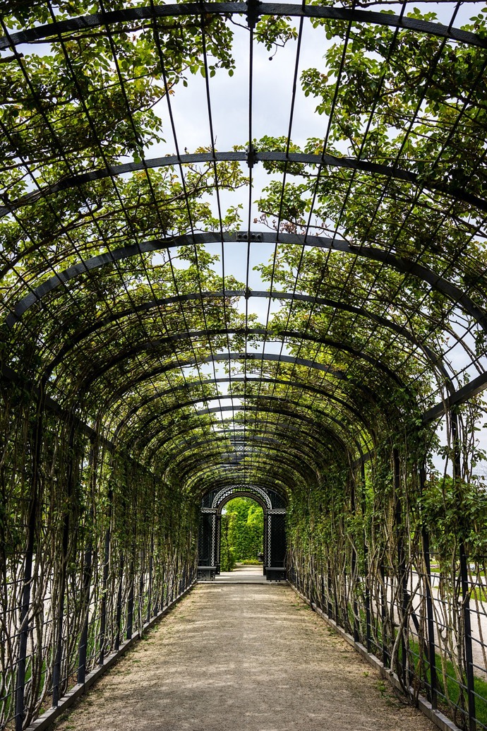 Schönbrunnský park je romantický a zvláště na jaře plný květů.
Schönbrunnský park je romantický a zvláště na jaře plný květů.