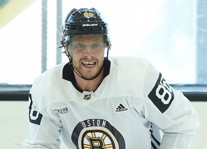 David je oporou týmu Boston Bruins

