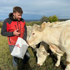 Galerie: Farma Kačiny se zaměřuje na seno pro koně