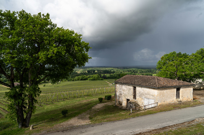 Vinařská oblast Bordeaux ve Francii
