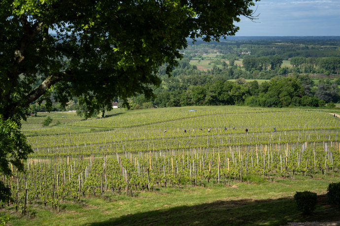 Vinařská oblast Bordeaux ve Francii
