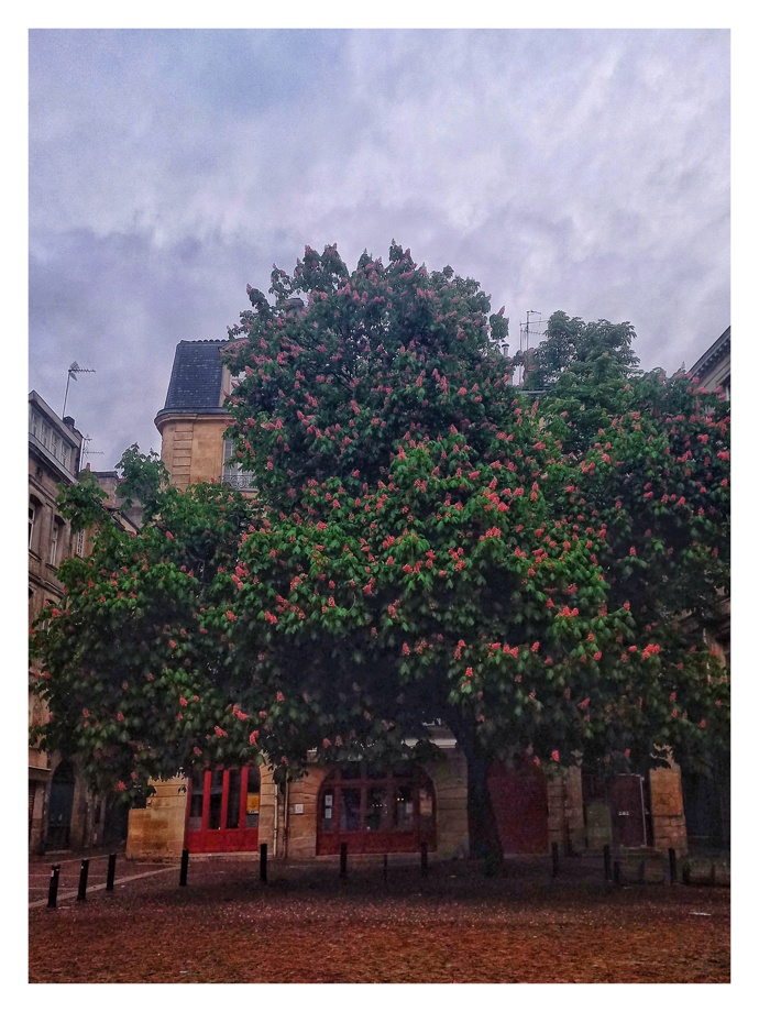 Historické centrum francouzského města Bordeaux
