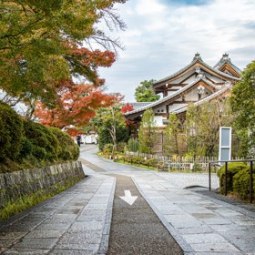 Kyoto je nádherné město pulzující klidem a pozitivní energií. Je ideální destinací, pokud se skutečně chcete oprostit od reality a ponořit hluboko do sebe.
