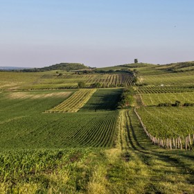 Dunajské kopce
