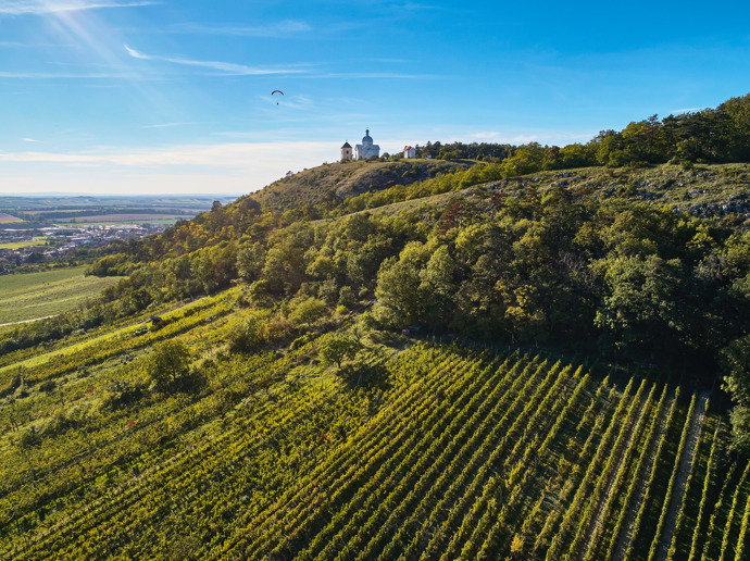 Město Mikulov
Město Mikulov