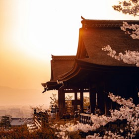 Rozkvetlé sakury, idylické západy slunce a místní chrámy v Japonsku jsou balzámem pro duši i oči. 
