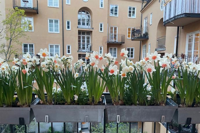 Galerie: Velký byt plný dřeva se dvěma balkony Galerie: Velký byt plný dřeva se dvěma balkony