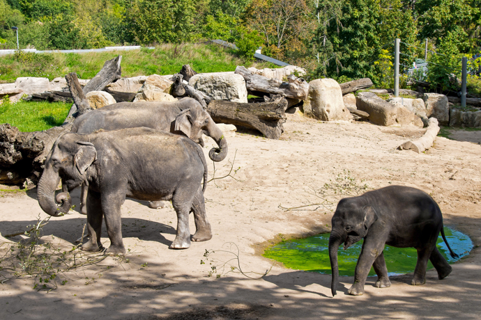 Zoo Praha
