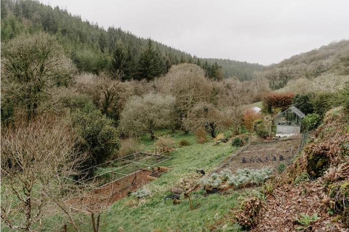 Galerie: Prastarý kamenný dům Galerie: Prastarý kamenný dům