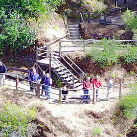 Letní sídlo Bohemian Grove je obrovské
