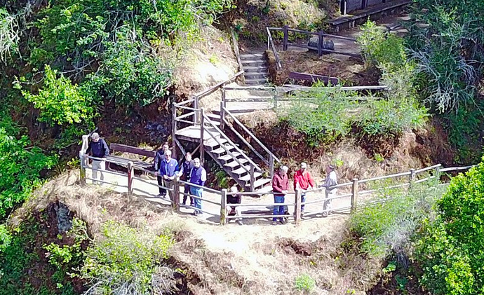 Letní sídlo Bohemian Grove je obrovské
