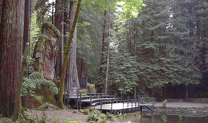 Soví svatyně spolku Bohemian Grove
