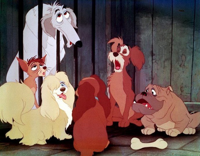Disney
Disney