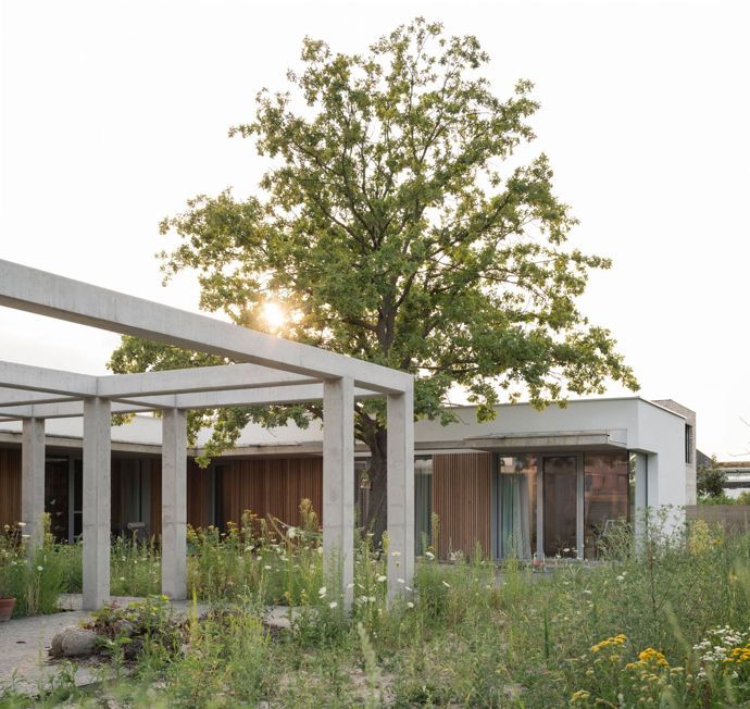 Architektonický zázrak: Jak dům v Záhorských Sadech spojuje přírodu s moderním bydlením
Architektonický zázrak: Jak dům v Záhorských Sadech spojuje přírodu s moderním bydlením