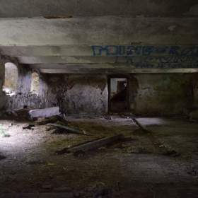 Chlév se měl stát dějištěm desivého masakru
