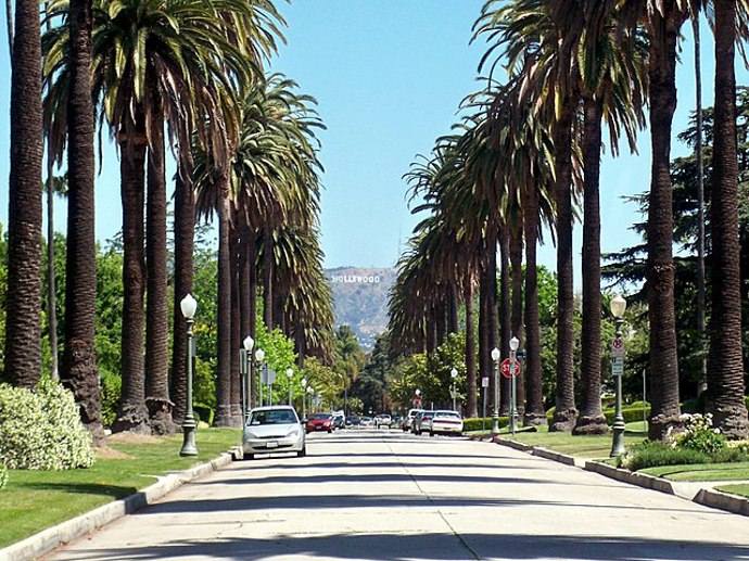 Hollywood
