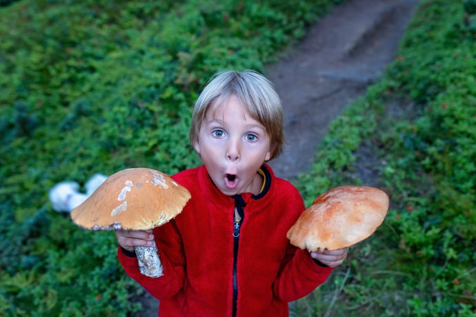 Milovat je samozřejmě budou celý jejich život, od prvních krůčků až po maturitu jsou však rodiče často největšími fanoušky svých ratolestí.
Milovat je samozřejmě budou celý jejich život, od prvních krůčků až po maturitu jsou však rodiče často největšími fanoušky svých ratolestí.