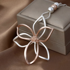 Dámský dlouhý náhrdelník FLOWER, Bižuterie Top, 425 Kč

 
