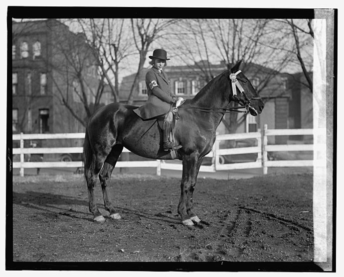 Hraběnka Gladys Vanderbilt Széchényi
Hraběnka Gladys Vanderbilt Széchényi