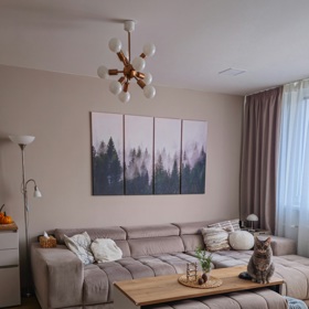 Moderní bydlení ve skandinávském stylu v Brně Moderní bydlení ve skandinávském stylu v Brně