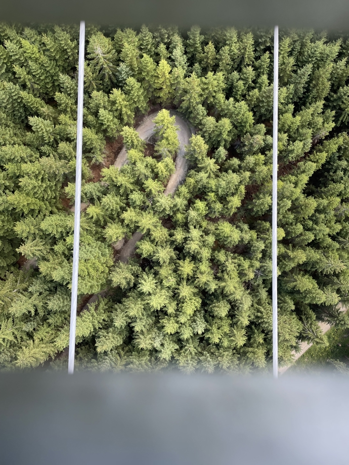 Z visuté lávky Sky Bridge se vám nabízí nejeden zajímavý pohled na okolní přírodu. Nic pro ty, co se bojí výšek. 
