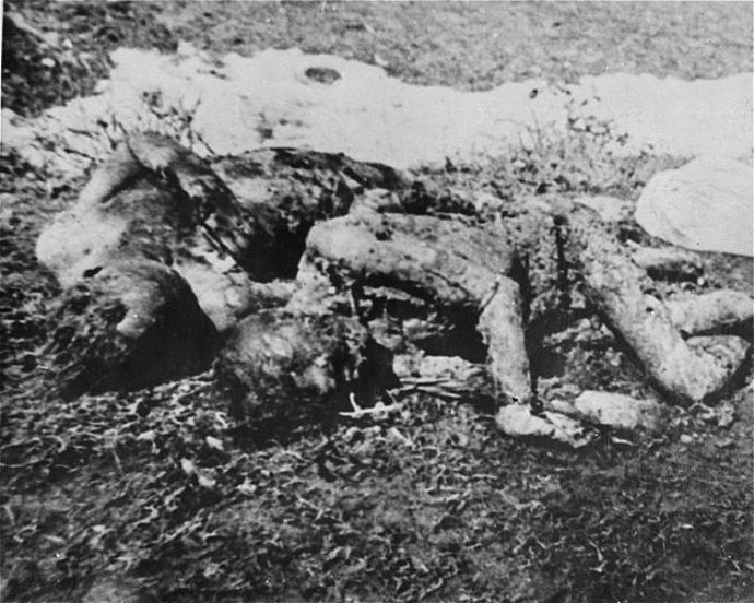 Chorvatský koncentrační tábor Jasenovac
Chorvatský koncentrační tábor Jasenovac