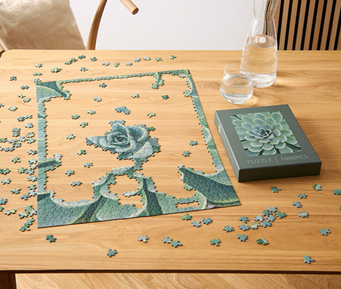 Puzzle Sukulenty, 299 Kč
