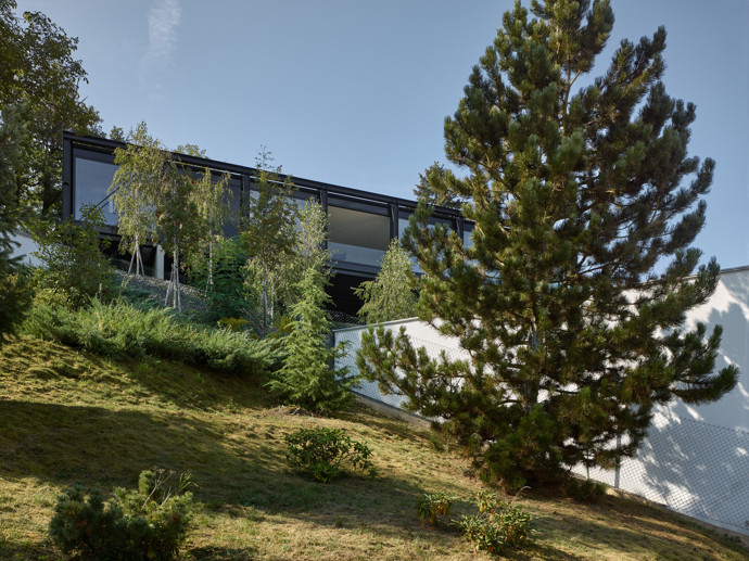 V malebné vilové čtvrti nad Berounkou vyrostla moderní vila Sidonius, která redefinuje pojetí luxusního bydlení. Postavená na prudkém svahu pomocí ocelové mostní konstrukce, nabízí obyvatelům nejen výhledy na krásy Českého krasu a Prahu, ale také originální architektonické a technologické řešení.
