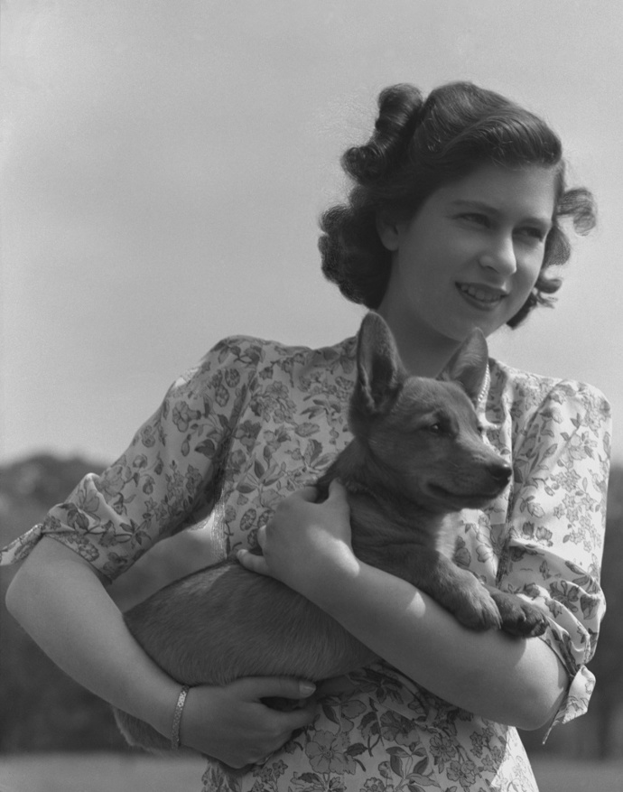 Princezna Alžběta (královna Alžběta II.) se svým corgi v roce 1944.
Princezna Alžběta (královna Alžběta II.) se svým corgi v roce 1944.