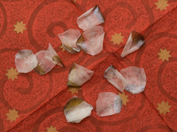 Všichni jsme si přáli mít pod talířem kapří šupiny, což symbolizovalo, že budeme mít hodně peněz po celý rok. A my jsme snili o více dárcích.
