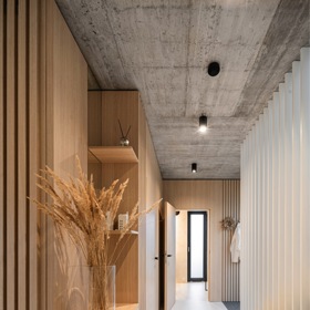 U několika rodinných domů nedaleko Brna se dokončovala hrubá stavba, když jedni z majitelů oslovili architektku Kateřinu Horych, aby jim projekt dotáhla a dům zařídila. Přišla těsně před tím, než se měly nahodit stropy.
